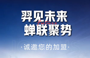 合伙招募方案