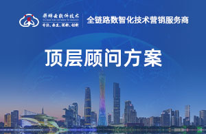 顶层顾问方案