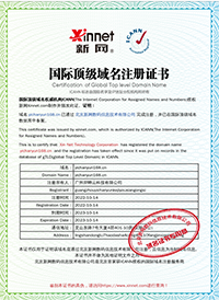 顶级国际域名
